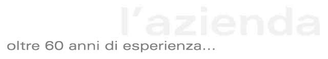 Azienda